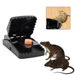 Piége À Souris. NOIR