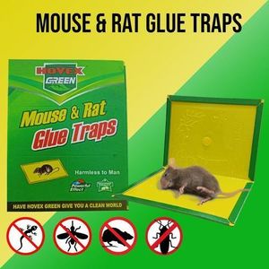 Piège à Souris Tapis Colle Lot De 2