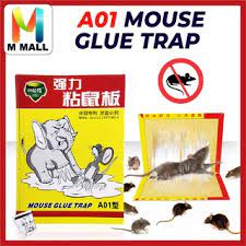 Nintendo Kit D'accessoires Tout-en-un  Pour Nintendo Switch