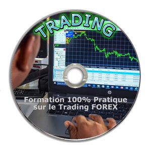 Formation Vidéo Trading Forex Sur Clé USB - Apprendre Le Trading En Toute Simplicité