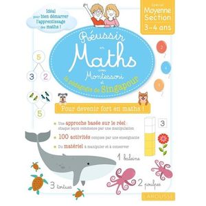 Larousse RÉUSSIR EN MATHS AVEC SINGAPOUR MS