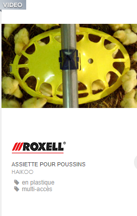 Assiette pour poussin
