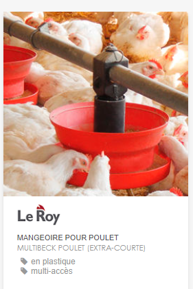 Mangeoire pour poulet