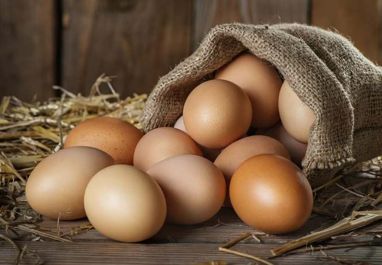 Oeuf de poule industrielle