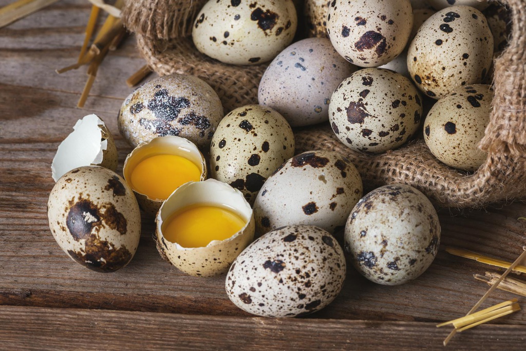 Oeuf de caille