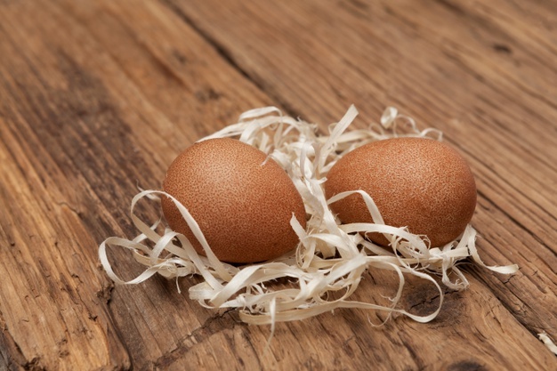 Oeuf de pintade