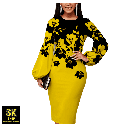 Robe élégante pour femmes