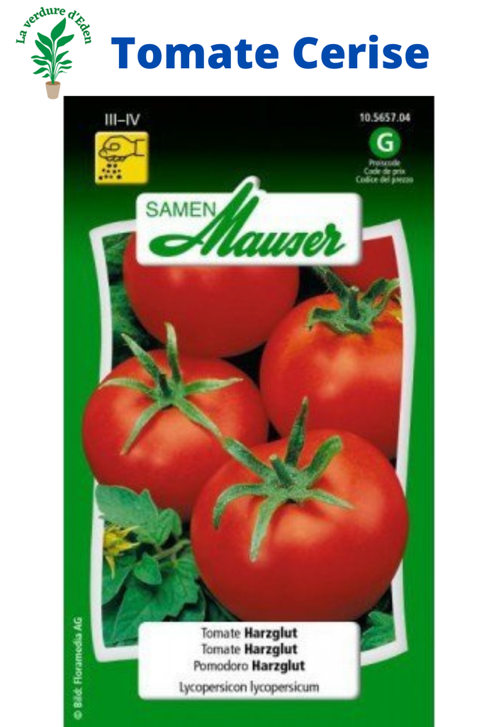 Tomate Cerise HARZGLUT