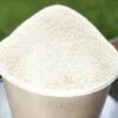 Gari