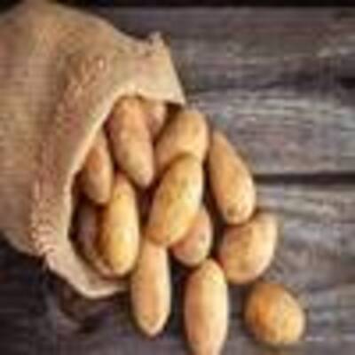 Pomme