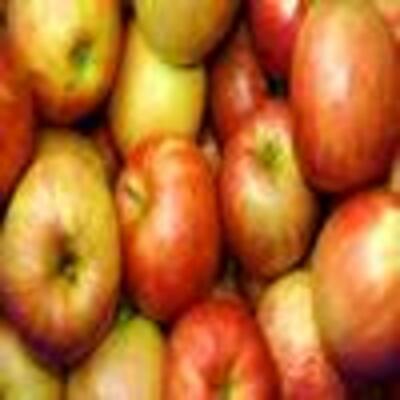 Pomme européenne