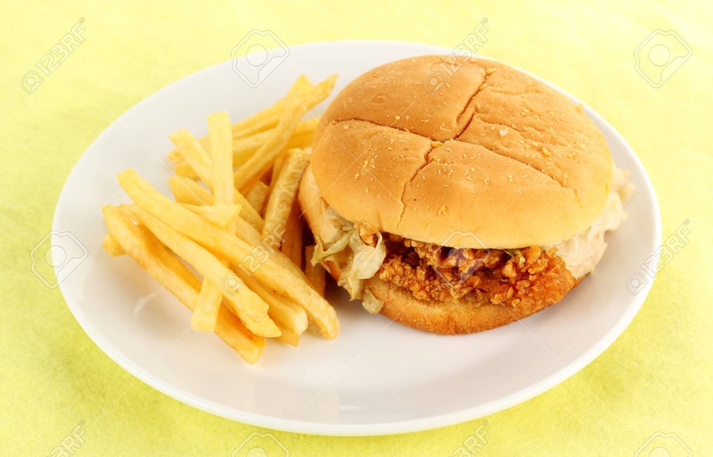 Chicken Burger Plat