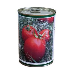 Technisem Semence De Tomate