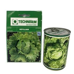 Technisem Duo Semences De Laitue Iceberg