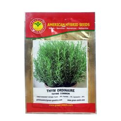 GREEN SEEDS Semence Thym Ordinaire