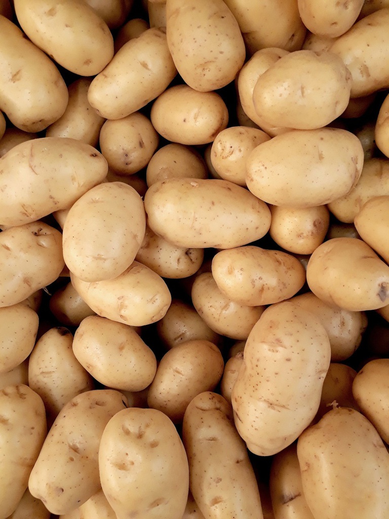Pomme de terre