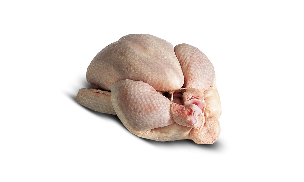 Poulet