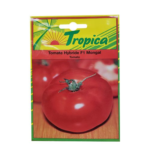 TROPICA Semence De Tomate Mongal