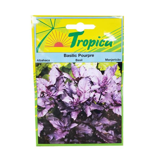 TROPICA Semence De Basilic Pourpre