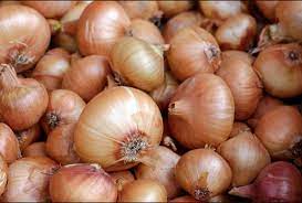 OIGNONS
