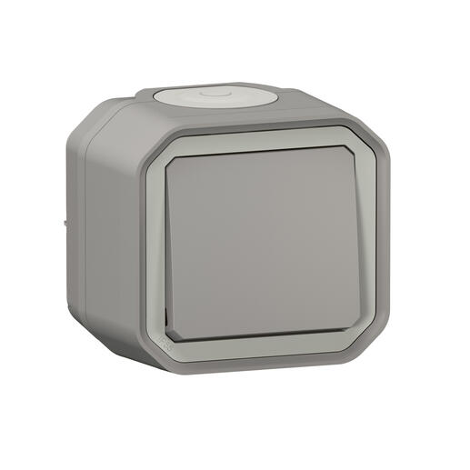 Poussoir lumineux étanche Plexo 10A livré complet avec voyant pour montage en apparent gris