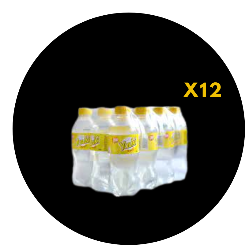 YOUKI TONIC PET 30CL x 12