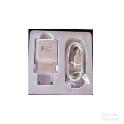 Microphone - Professionnel - Baladeur- Blanc