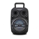 Haut-parleur Portable (basse 8 ", 1 Fil Micro) - JP-H9