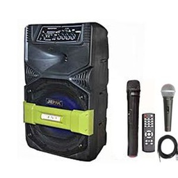 Sono Portable + 1 Télécommande + 1 Chargeur - Noir