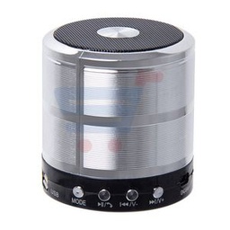 Mini Speaker Ws-887 - Argent