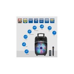 Haut-Parleur Portable Rechargeable Avec Microphones Sans Fil VHF - Noir