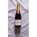 MDPADT GLORY Présente : Champagne Meiter Brut