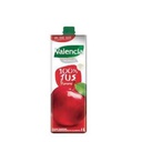 Valencia Jus Valencia Pur Premium Pomme 1L
