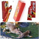 Super Colle ORIGINALS. Glu Anti-rongeurs En Tube Pour Rat, Souris. Piège à Souris Et Rats -rouge