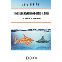 Syndicalisme Et Gestion Des Conflits