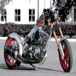 HARLEY-DAVIDSON CUSTOM