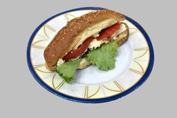 Chawarma Sandwich Francisco