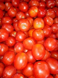 TOMATE FRAICHE