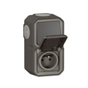 Prise de courant et va-et-vient étanche précâblés Plexo pour installation en vertical livré complet pour montage en apparent anthracite