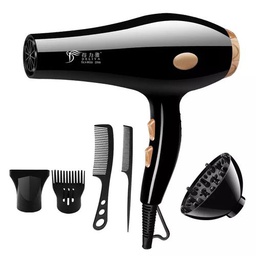 Sèche-cheveux Professionnel Avec Accessoire 2200 W